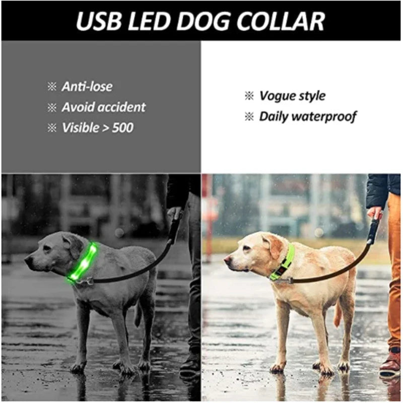 Led Glowing Dog Collar  Luminous Collar Adjustable Night Light  Harness Dog Leash For Girl Small Dogs Cat Pet Safety Accessories